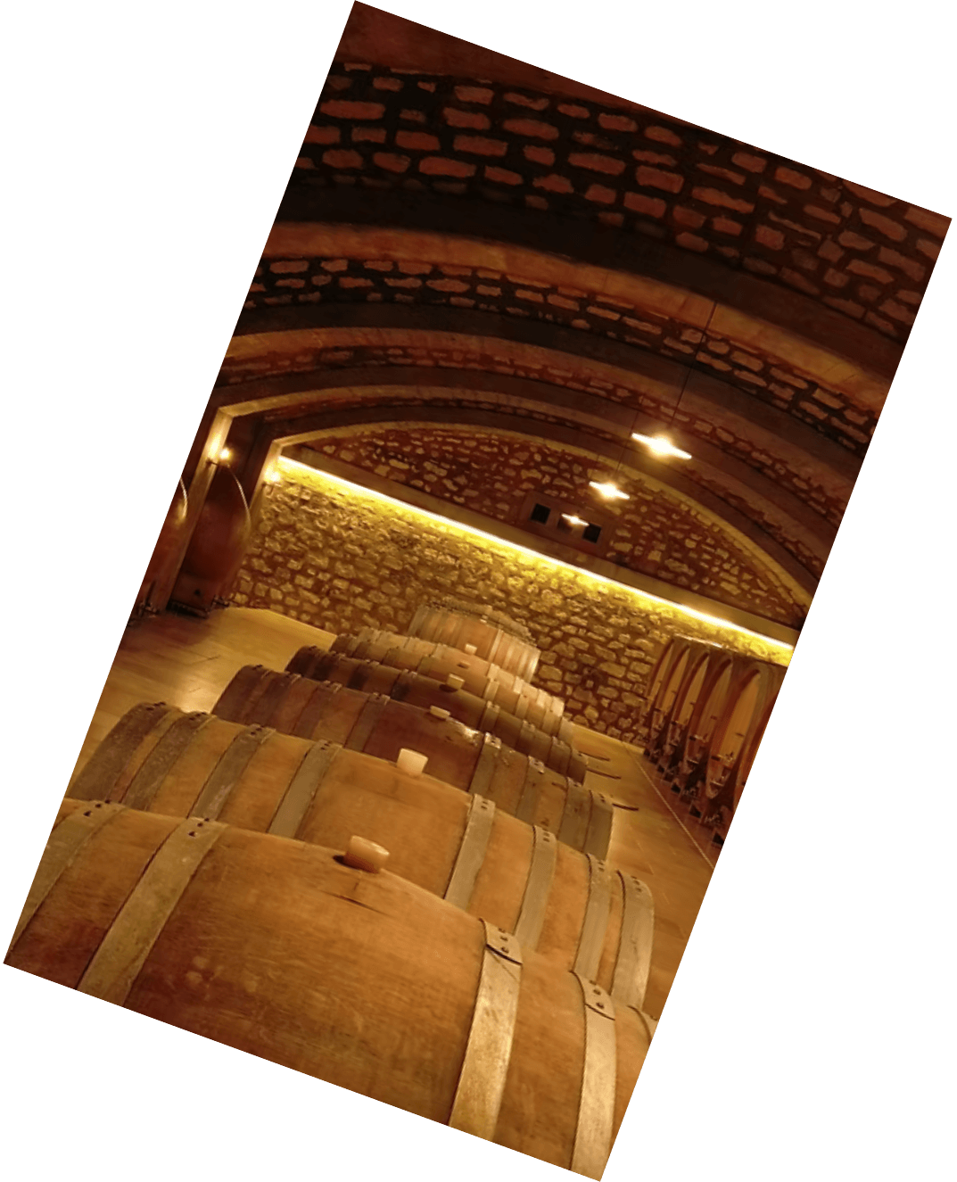 Vinification